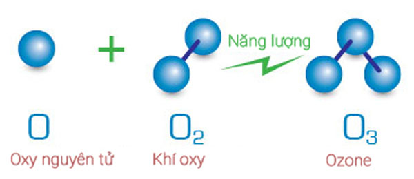 Ozone được tạo ra và sử dụng tại chỗ 