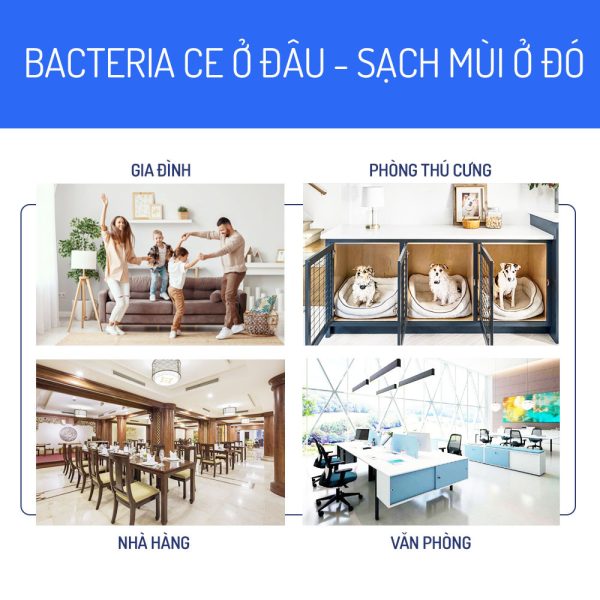 avt ung dung bacteria ce