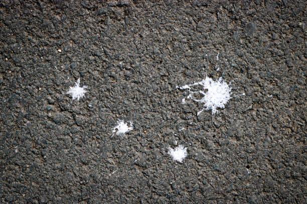 15 câu hỏi thường gặp về máy ozone khử mùi (FAQ) – Giải đáp mọi thắc mắc của bạn 1 1. Máy Ozone Khử Mùi Hoạt Động Như Thế Nào và Liệu Có An Toàn?