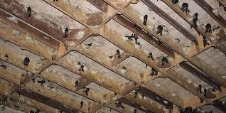 15 câu hỏi thường gặp về máy ozone khử mùi (FAQ) – Giải đáp mọi thắc mắc của bạn 2 2. Hiệu Quả Diệt Khuẩn, Virus của Máy Ozone và Giá Thành