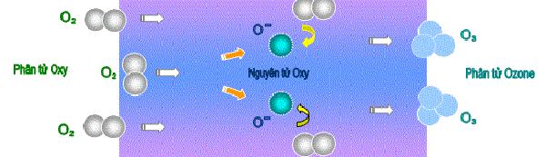 4. Hiệu quả kinh tế và vận hành của Ozone