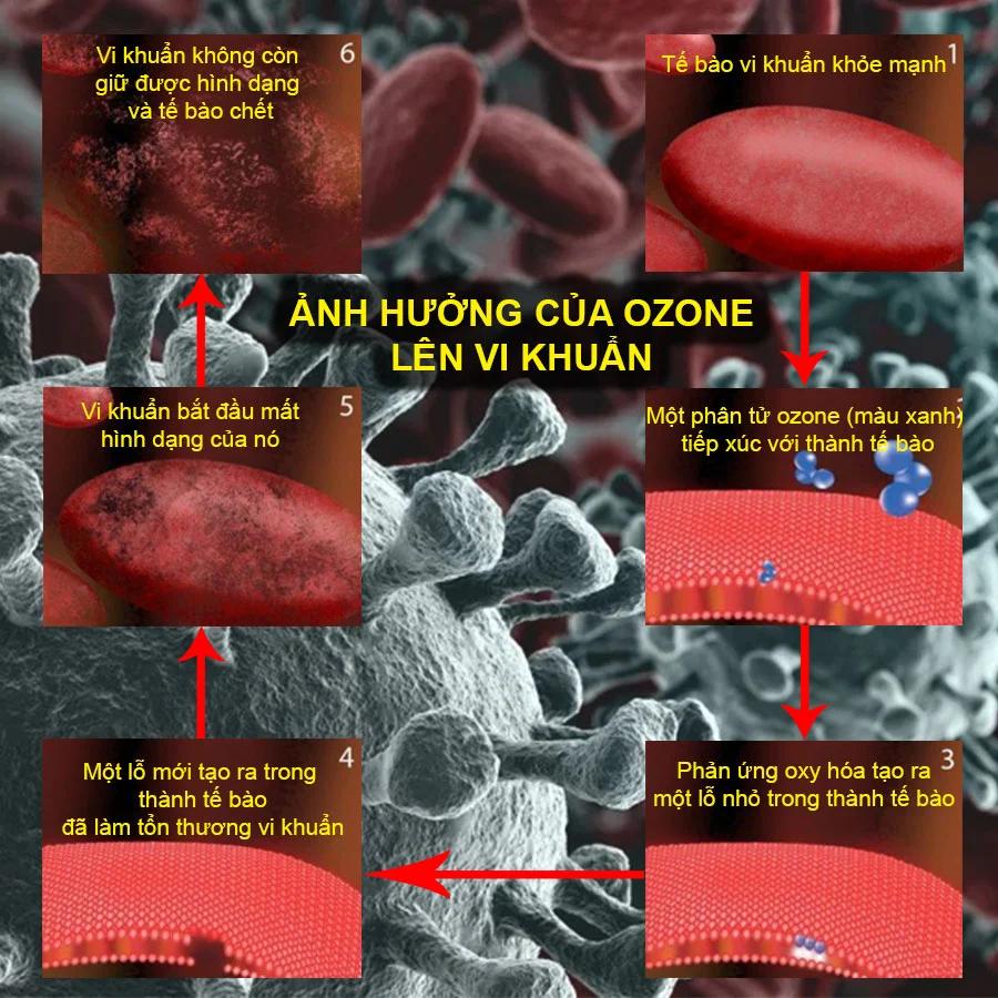 3. Tích hợp Máy Ozone với Hệ thống Lọc Cát Hiện có