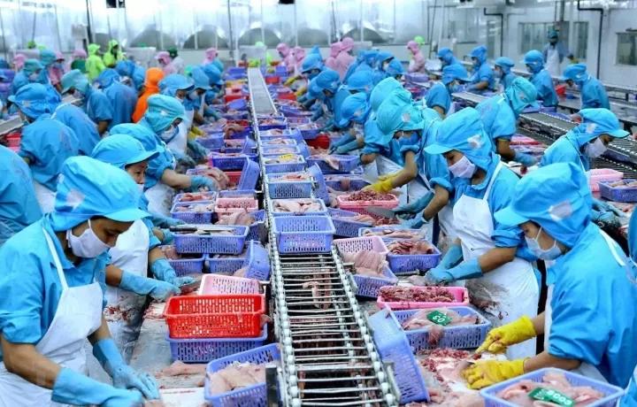 3. Lựa Chọn Công Suất Máy Ozone Phù Hợp Cho Nhà Xưởng