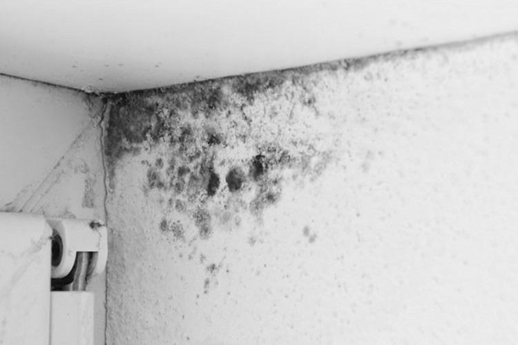 Cách máy ozone khử mùi xách tay hoạt động 2 Hình minh họa