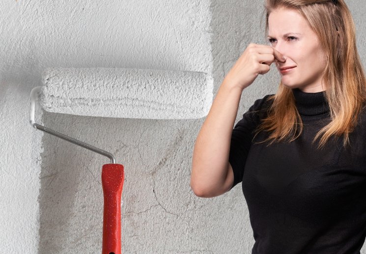 Mùi sơn mới gây khó chịu khi tường vừa hoàn thiện